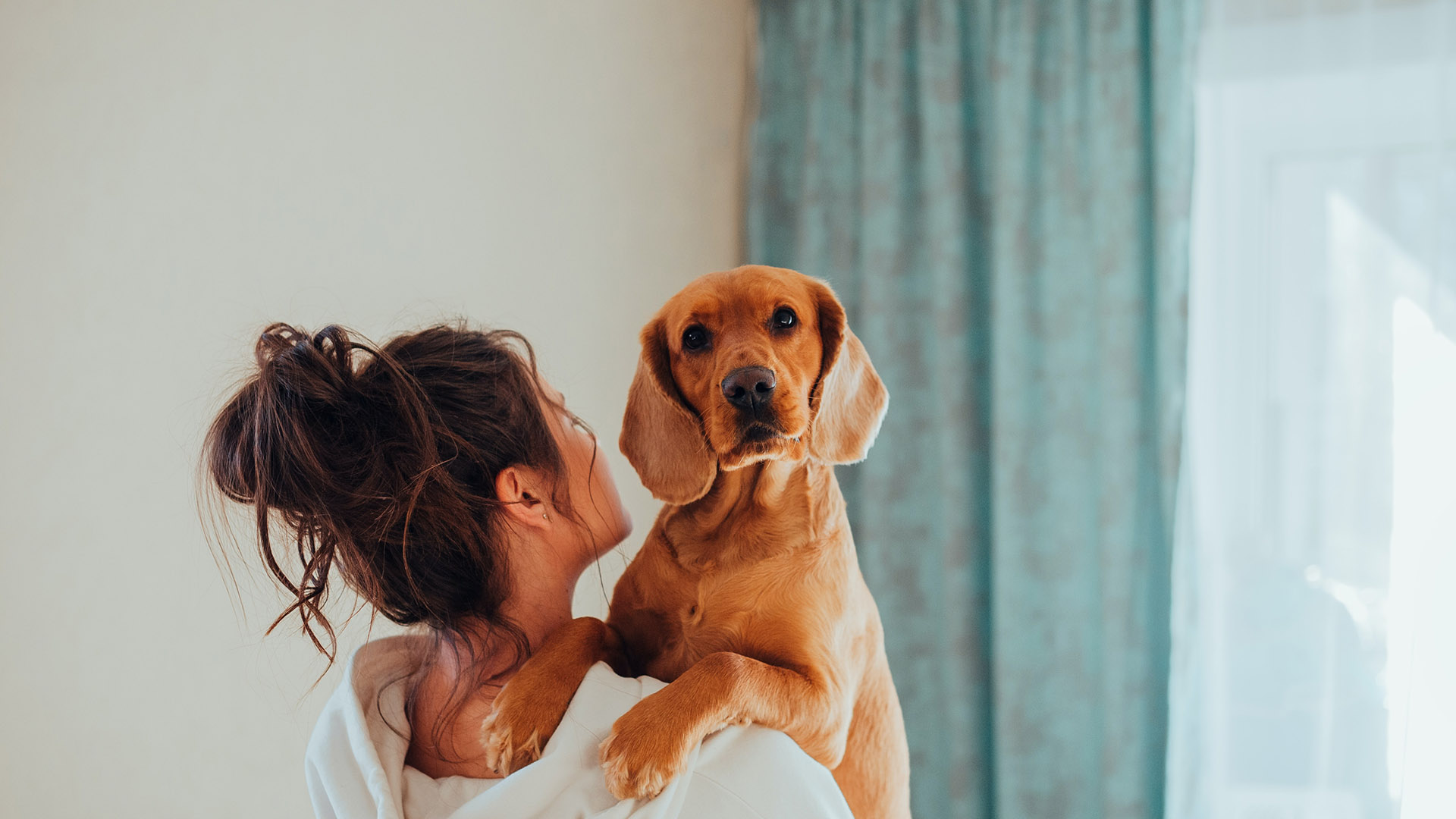 Person in white sweatshirt holding puppy in front of window.